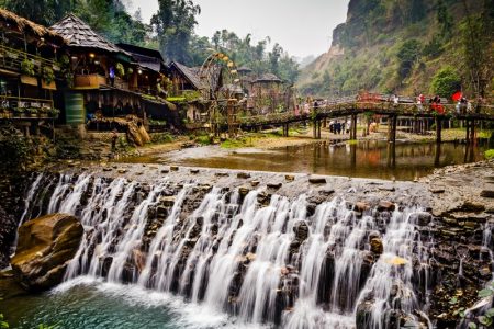 Tiptoe through the Tulips of Washington