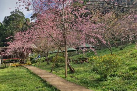 The Castle on the Cliff: Majestic, Magic, Manoir