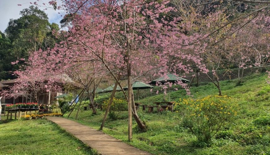 The Castle on the Cliff: Majestic, Magic, Manoir